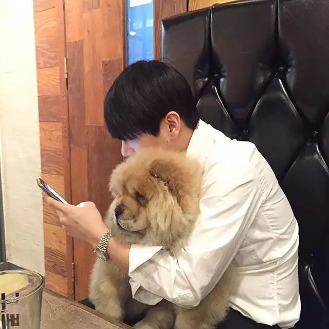 贺倩琳芬