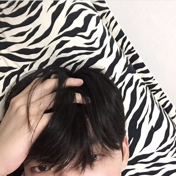 盛莎慧刚