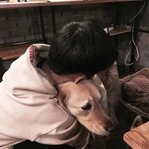 莘伊朗伊