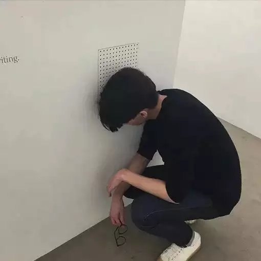 戴宝鸿桂
