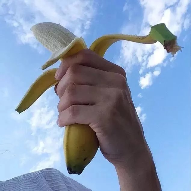 仲孙君鹏恒